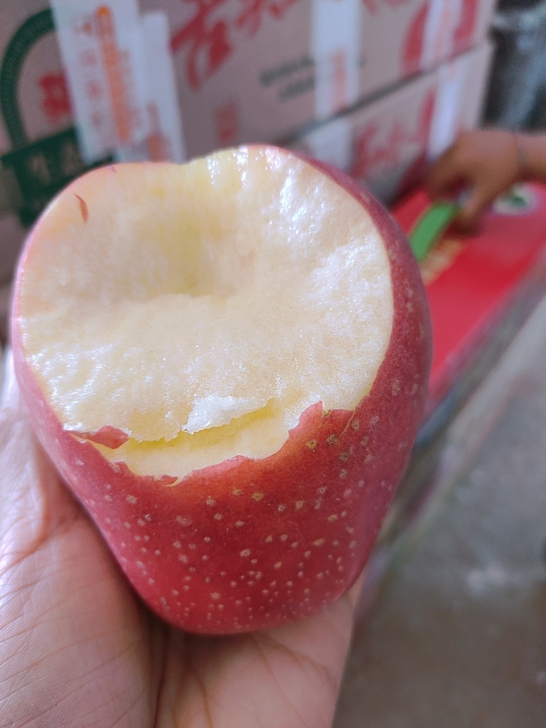 【包邮】应季中秋王脆甜苹果5斤8斤礼盒装