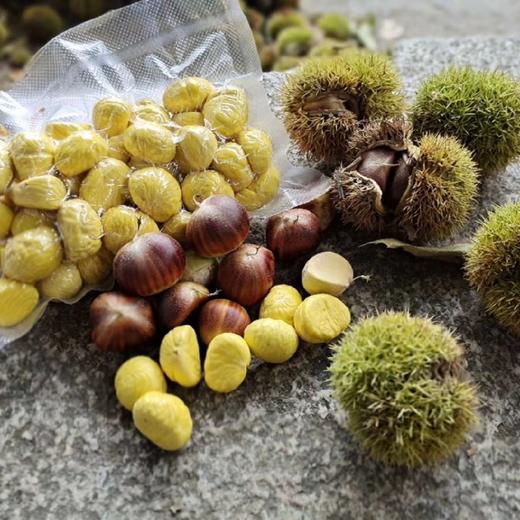 充五千送【新鲜野栗子(已剥壳）】500克分两袋装/真空/冷冻  限时赠送 商品图6