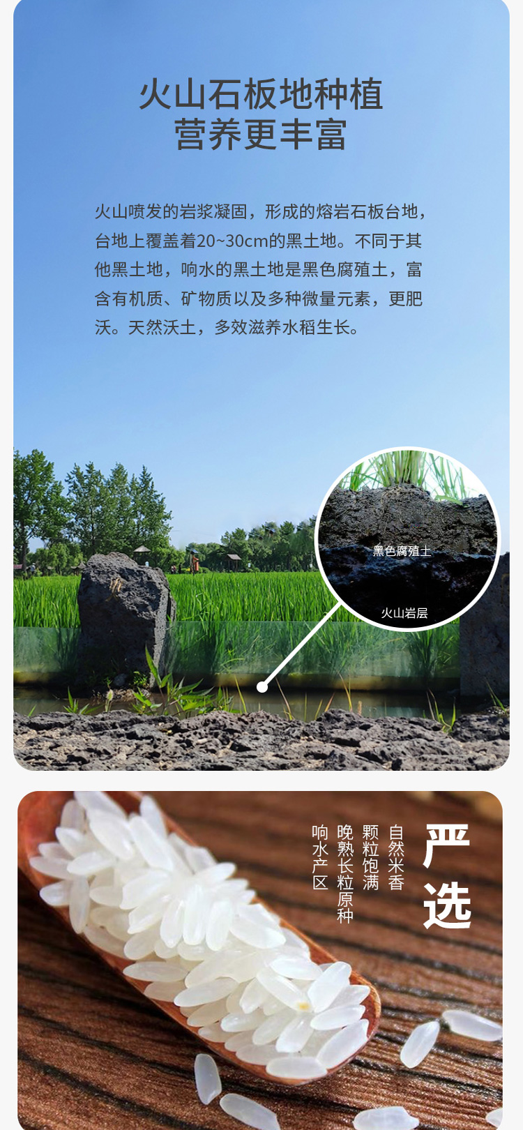 田漫 东北响水石板大米