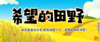 【潍坊站】单日营｜「希望的田野」稻花香里说丰年,挖取螃蟹一片，还有蛤蜊和田野！ 商品缩略图0