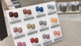 海盐芝士12色套装