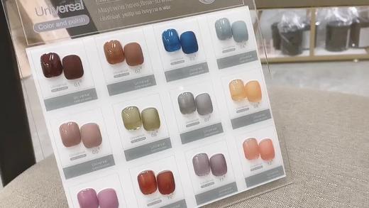 海盐芝士12色套装 商品图0