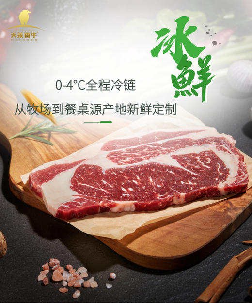 【冷鲜】新疆天莱香牛有机牛腱子500g+牛腿500g+牛腩500g 商品图1