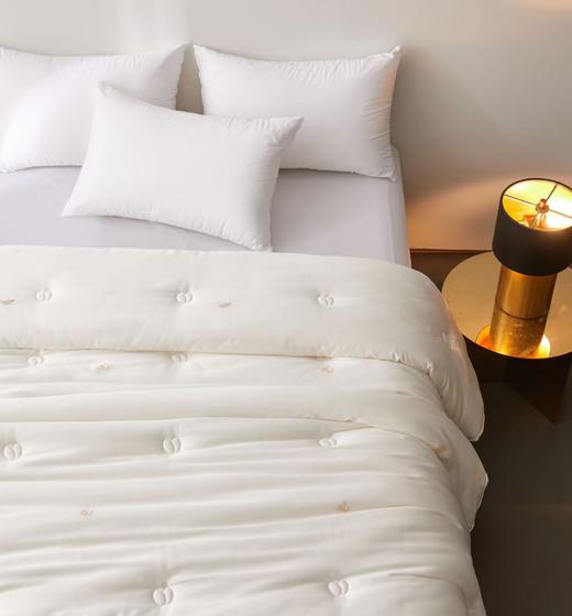 牛奶大豆养颜被 大豆被 被子 冬被 被芯 商品图3