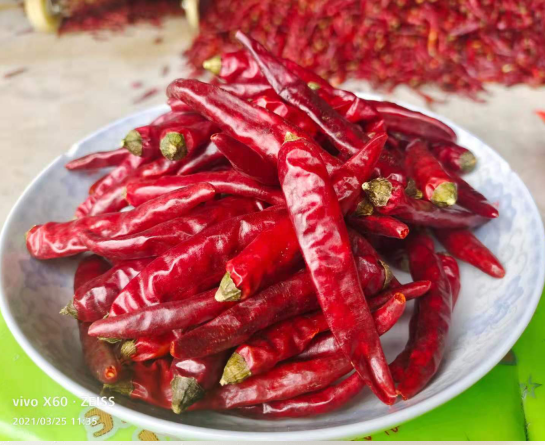 【一品红辣椒】艳椒个个辣椒(香辣)250g/袋*2