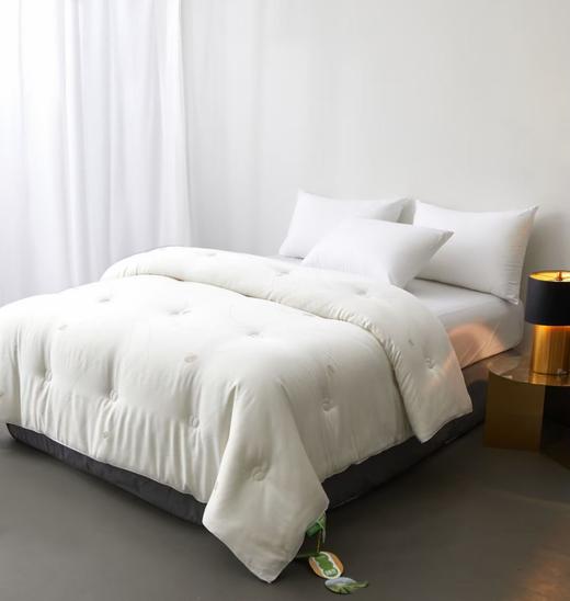 蚕丝大豆润养被 被子 冬被  被芯 商品图2