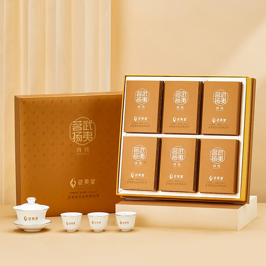 武夷星茗扬特级五星果香岩茶肉桂茶礼盒装乌龙茶叶199g送礼 商品图4