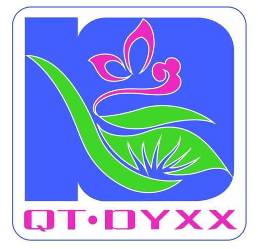 桥头第一小学新款运动服新款活力牌 商品图0