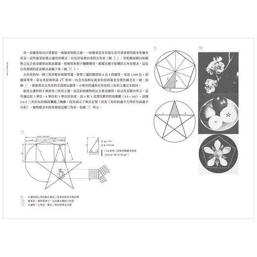 設計的jixian與無限：從東方到西方，從自然物到人造物，探索自然、藝術和建築中的秩序之美與比例和諧 商品图4