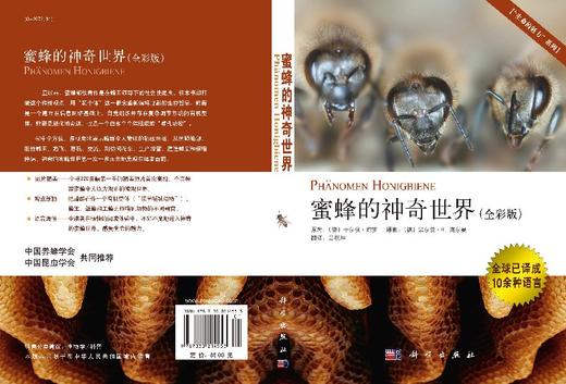 【官方】蜜蜂的神奇世界/苏松坤 商品图3
