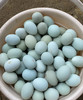 【活动特惠】永州土鸡蛋白壳/绿壳，收货请放冰箱冷藏保存，鸡蛋摆放方式小头朝下，大头朝上。个人方法保存不当一律不售后！满88包邮 商品缩略图1