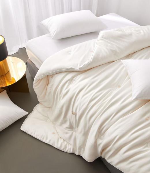 蚕丝大豆润养被 被子 冬被  被芯 商品图5