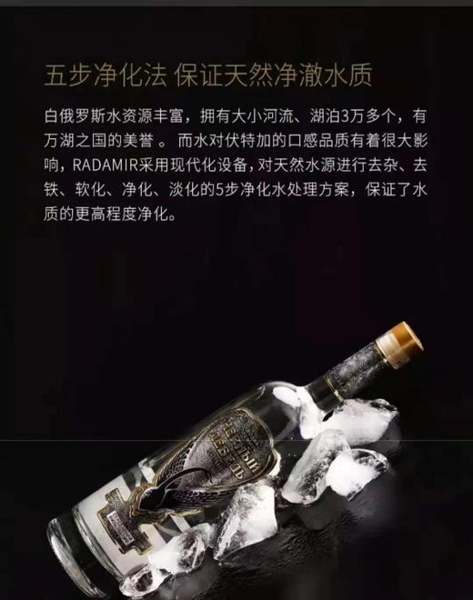 WWJ 黑天鹅伏特加700mL 商品图3