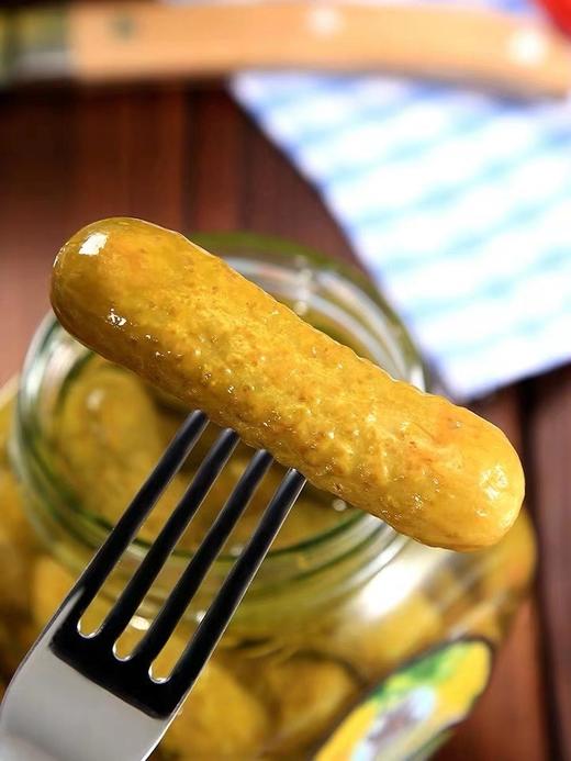 【中欧班列精选】WWJ俄罗斯风味 河马牌酸黄瓜500g/瓶 商品图4