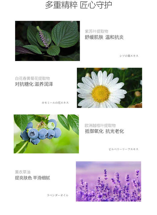 日本 Bb LABORATORIES 苾莱宝复活草青润营养微精华水150ml 商品图2