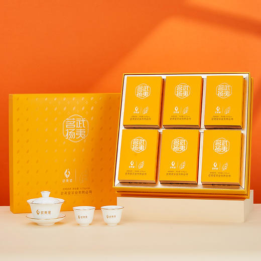 武夷星 大红袍 武夷茗扬 一级 大红袍 武夷岩茶 199g 商品图4