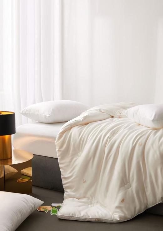 牛奶大豆养颜被 大豆被 被子 冬被 被芯 商品图7