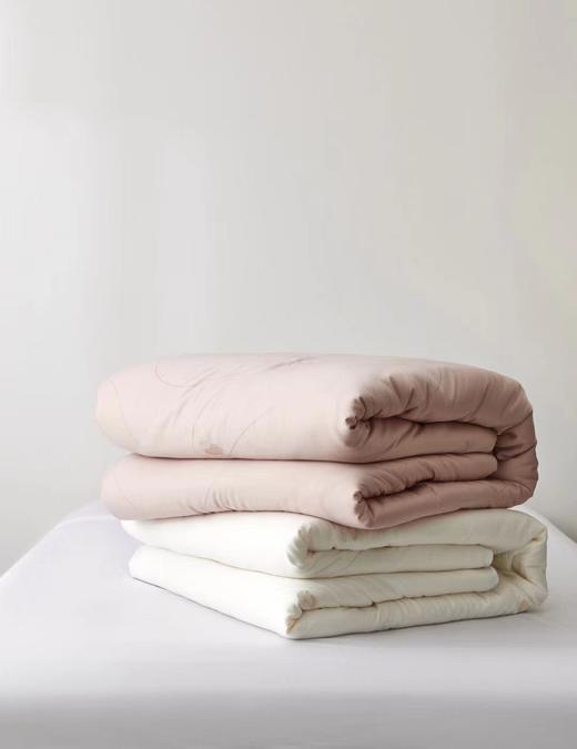 蚕丝大豆润养被 被子 冬被  被芯 商品图9