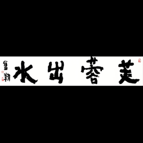 曾翔书法 · 四字吉语系列之《芙蓉出水》