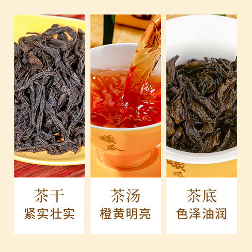 曦瓜 武夷山肉桂桂皮香礼盒装 武夷岩茶大红袍茶叶256g 商品图2