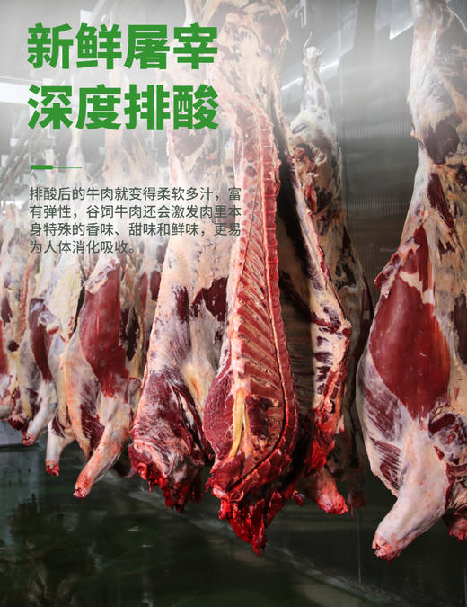 【冷鲜】新疆天莱香牛有机牛腱子500g+牛腿500g+牛腩500g 商品图2