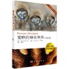 【官方】蜜蜂的神奇世界/苏松坤 商品缩略图0