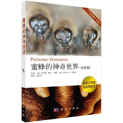【官方】蜜蜂的神奇世界/苏松坤 商品图0