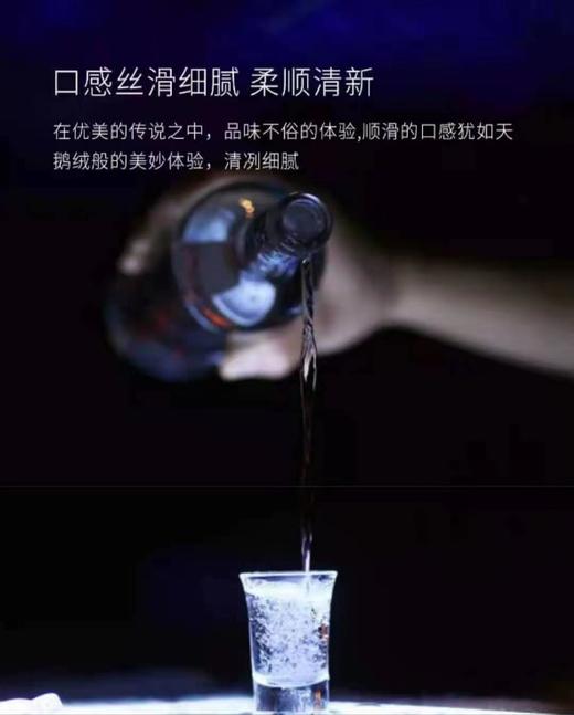 WWJ 黑天鹅伏特加700mL 商品图2