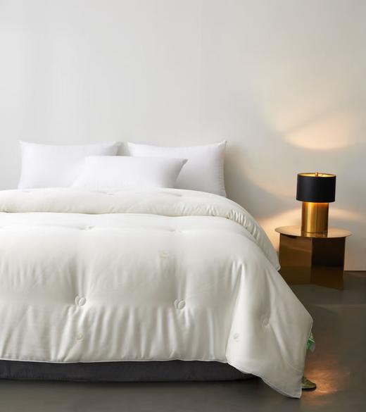 蚕丝大豆润养被 被子 冬被  被芯 商品图1