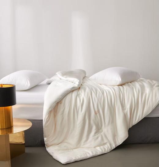 蚕丝大豆润养被 被子 冬被  被芯 商品图6