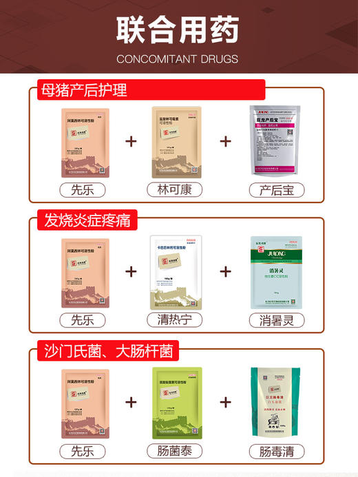 【先乐】巨龙动保先乐10%阿莫西林可溶性粉100g/500g 商品图1