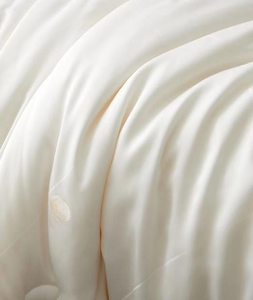 蚕丝大豆润养被 被子 冬被  被芯 商品图3