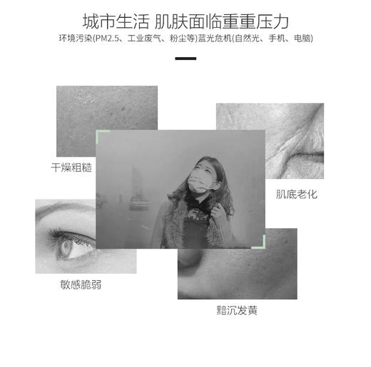 日本 Bb LABORATORIES 苾莱宝复活草青润营养微精华水150ml 商品图3