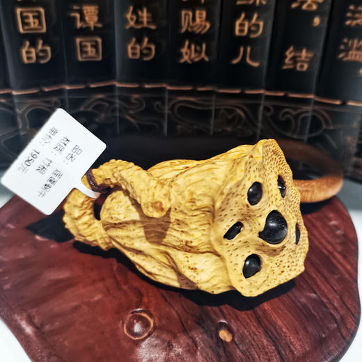 莲蓬蜗牛 商品图0