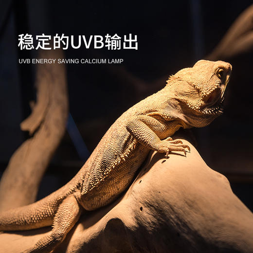 REPTIZOO爬虫UVB灯泡10.0灯管5.0陆龟蜥蜴乌龟补钙晒背灯 商品图2