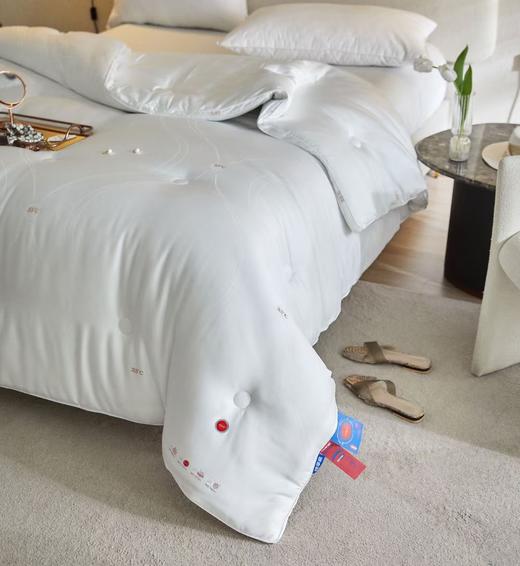 33°C度恒温冬被 春秋被 被子 被芯 商品图2