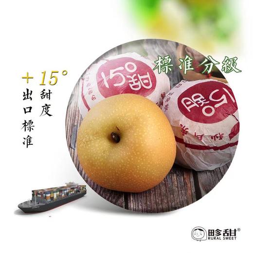 【下单后48小时左右发货】山东 青岛 莱西 秋月梨4.5斤装左右 商品图11