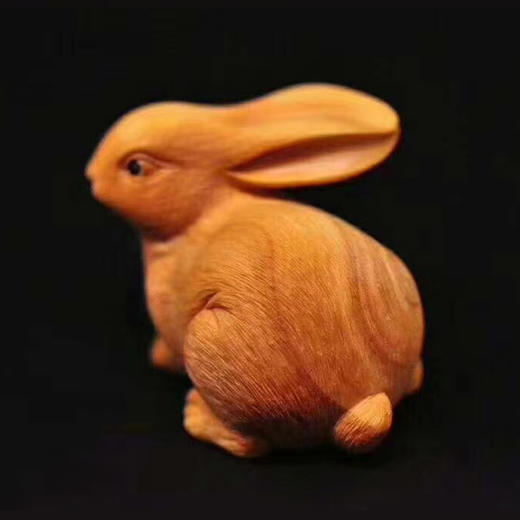 精雕兔子 商品图2