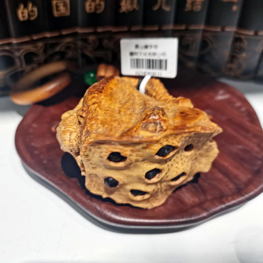 莲蓬金蟾 商品图2