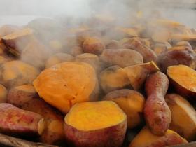  仙境真薯│小小红薯让你告别亚健康 