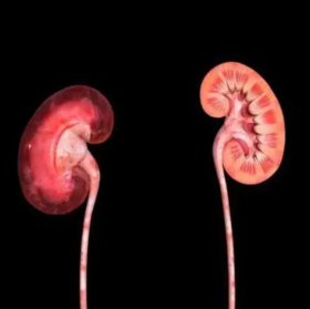 肾病早期，睡觉时会有这4种表现，若占一个，都要抓紧养肾了！ 