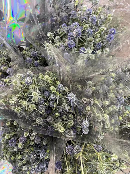 【等待与守候】小刺芹（ 情人果/爱情果） 扎 商品图5