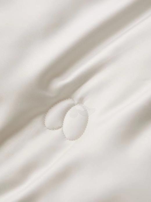 牛奶大豆养颜被 大豆被 被子 冬被 被芯 商品图6