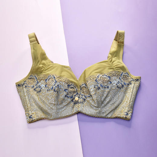 【99元2件，下单拍2！】皇家丽美有钢圈薄杯全罩杯文胸W68-1 商品图0