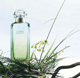 尼罗河花园 Un Jardin Sur Le Nil 「掰一瓣儿清新大柚子 听风带着睡莲歌唱」