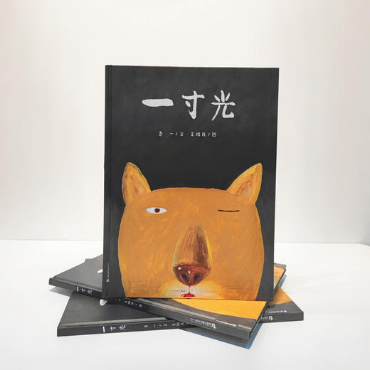 一寸光 绘本图画书3-6岁 商品图1