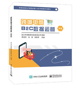 跨境电商B2C数据运营（中级）