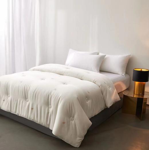 牛奶大豆养颜被 大豆被 被子 冬被 被芯 商品图2