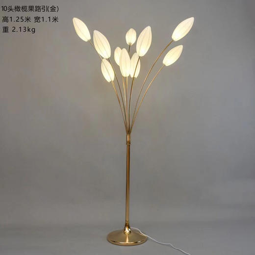 10头橄榄果路引【运费自理】 商品图1