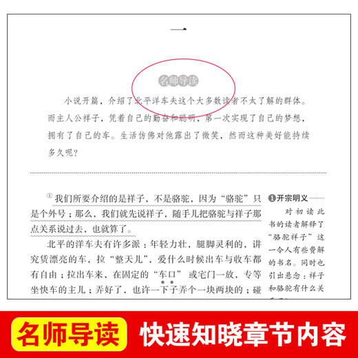 老舍经典作品全集全套3册 骆驼祥子原著正版七年级上册必读课外书中小学生阅读书籍老师推荐四世同堂茶馆无障碍阅读文学名著畅销书 商品图1